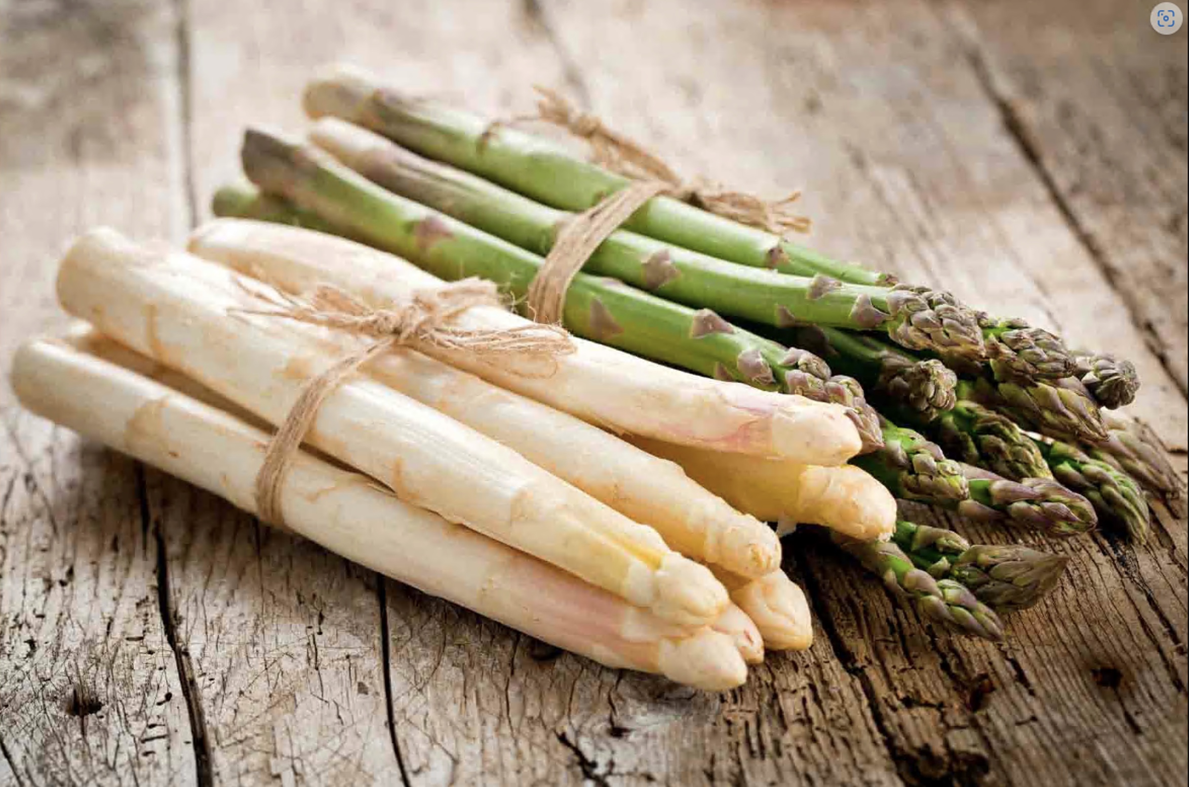 Spargel Spargel
